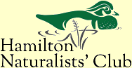 Hamilton Naturalists' Club HomePage